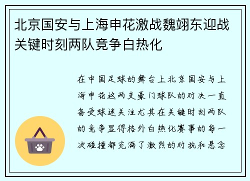 北京国安与上海申花激战魏翊东迎战关键时刻两队竞争白热化