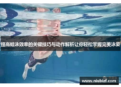 提高蛙泳效率的关键技巧与动作解析让你轻松掌握完美泳姿