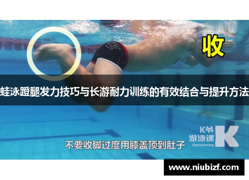 蛙泳蹬腿发力技巧与长游耐力训练的有效结合与提升方法